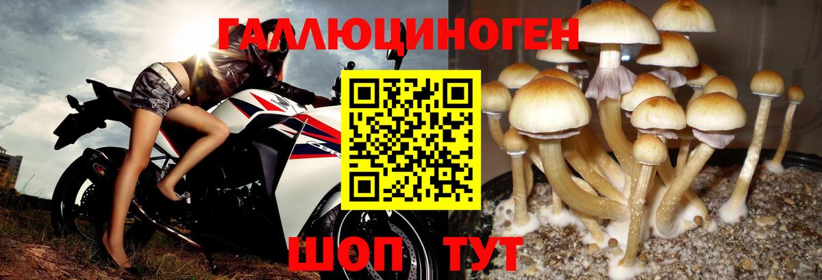 Галлюциногенные грибы ЛСД  Псилоцибиновые грибы мухоморы  Ликино-Дулёво  Вход с VPN 
